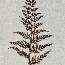 Load image into Gallery viewer, Pressed Leaf Art II
