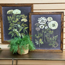 Load image into Gallery viewer, Framed WildFlower Art II
