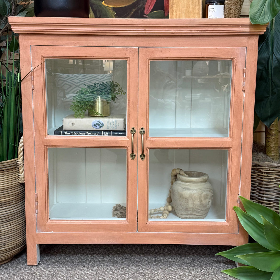 Soft Apricot 2DR Cabinet