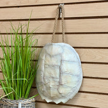 Load image into Gallery viewer, White Turtle Shell Decor
