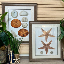 Load image into Gallery viewer, Starfish Framed Art
