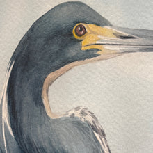 Load image into Gallery viewer, Hand Painted Shorebird Art I
