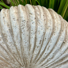 Load image into Gallery viewer, LG Resin Nautilus Vase
