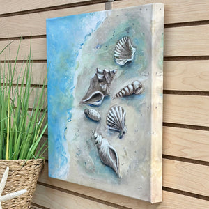 Shell Assortment II Canvas Art