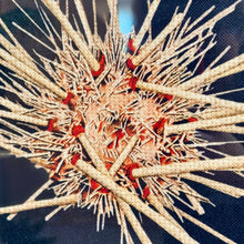 Load image into Gallery viewer, Framed Sea Life Art
