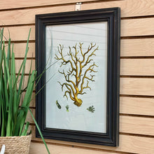 Load image into Gallery viewer, Framed Coral Art I
