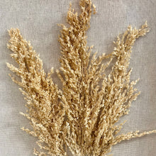 Load image into Gallery viewer, PB Dried Botanical

