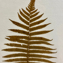 Load image into Gallery viewer, Pressed Leaf Art I
