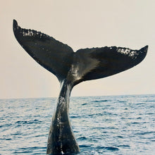 Load image into Gallery viewer, Whale Tail Art
