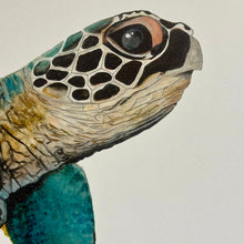 Load image into Gallery viewer, Turquoise Sea Turtle Giclee
