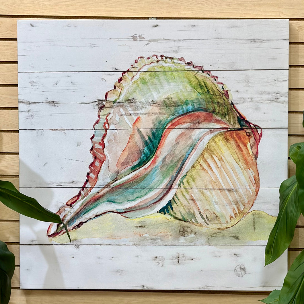 Colorful Shell Canvas II