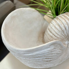 Load image into Gallery viewer, LG Resin Nautilus Vase
