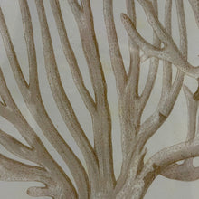 Load image into Gallery viewer, Seafan I Art
