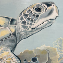 Load image into Gallery viewer, Soft Sea Turtle Giclee
