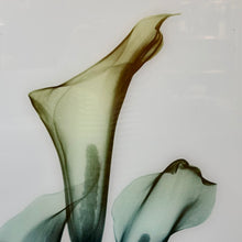 Load image into Gallery viewer, Flowers on Glass Art
