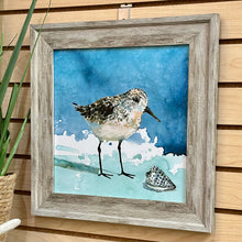 Load image into Gallery viewer, SM Sandpiper I
