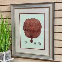 Load image into Gallery viewer, Coral Framed Art I
