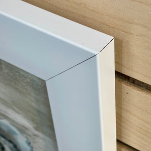 SM Grey Framed Shells I