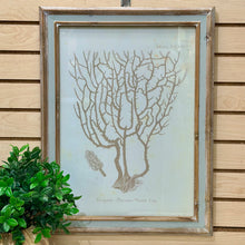 Load image into Gallery viewer, Beige Coral Art IV
