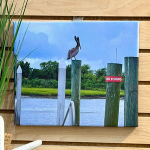 Pelican Photography on Canvas