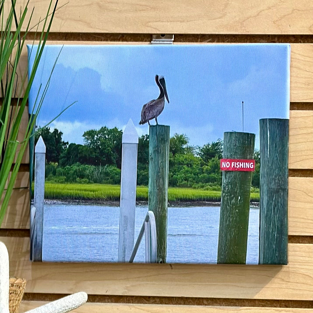 Pelican Photography on Canvas