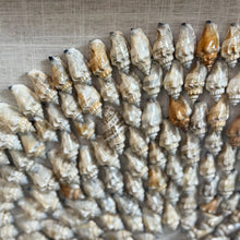 Load image into Gallery viewer, Jamie Young 'Riviera' Wall Art
