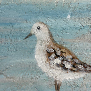 Perched Seagulls Canvas Art