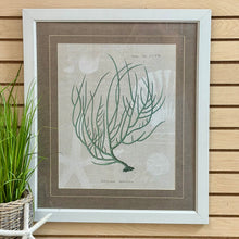 Load image into Gallery viewer, Paragon 'Gorgonia On Linen II'
