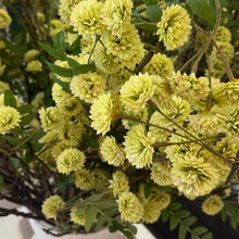 Load image into Gallery viewer, Yellow/Green Floral Branch
