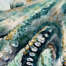 Load image into Gallery viewer, Aqua Octopus Giclee Art

