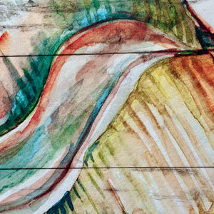 Colorful Shell Canvas II