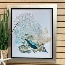 Load image into Gallery viewer, Shell Grouping II
