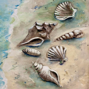 Shell Assortment II Canvas Art