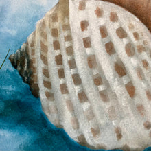 Load image into Gallery viewer, Coastal Shell II Art

