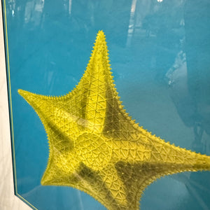 Yellow Starfish Art