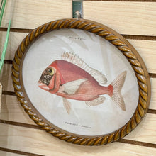 Load image into Gallery viewer, Oval Fish Print V Art
