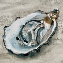 Load image into Gallery viewer, SM Framed Oyster I
