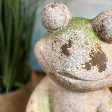 Load image into Gallery viewer, Faux Concrete Frog II
