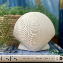 Load image into Gallery viewer, White Clam Decor
