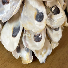 Load image into Gallery viewer, SM Oyster Shell Tree
