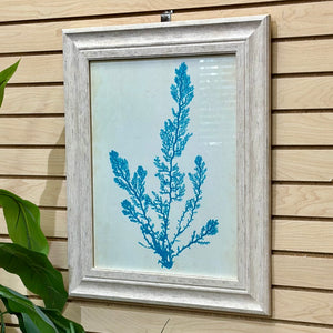 Seaweed I Framed Art
