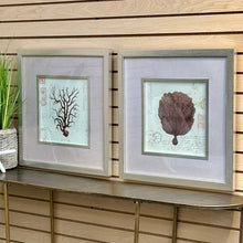 Load image into Gallery viewer, Silver Framed Sea Life
