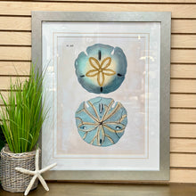 Load image into Gallery viewer, Turquoise &amp; Taupe Sand Dollar Art
