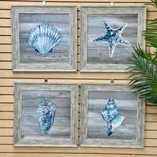 Load image into Gallery viewer, Blue Cowrie Shell
