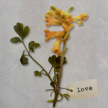 Load image into Gallery viewer, Yellow 'Love' Flower Art

