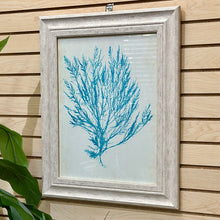 Load image into Gallery viewer, Seaweed II Framed Art
