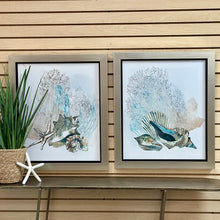 Load image into Gallery viewer, Shell Grouping I
