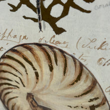 Load image into Gallery viewer, Framed Shell/Dragonfly Art
