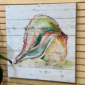 Colorful Shell Canvas II