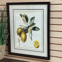 Load image into Gallery viewer, Framed Lemons Art

